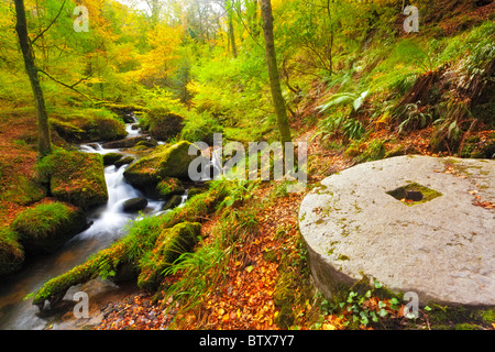 Meule abandonnée dans les bois à Kennall Vale nature réserver Angleterre Cornwall Banque D'Images