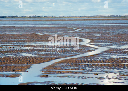 Les voies du phoque gris. Donna Nook seal sanctuary en hiver. Banque D'Images