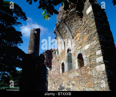 St Mary's Abbey, Fougères, Co Wexford, Irlande ; abbaye construite au 12ème siècle Banque D'Images