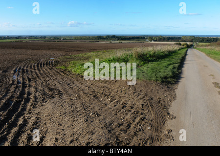 Terres agricoles typiques Paysages de champs labourés derrière Thornham sur la côte nord du comté de Norfolk, Angleterre Banque D'Images