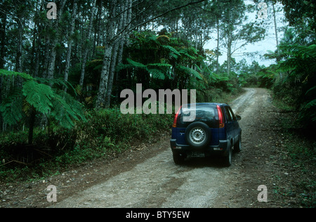 Une location de voiture 4x4 sur une piste à travers les Topes de Collantes, à Cuba. Banque D'Images