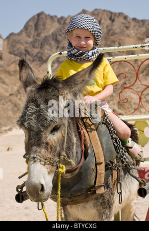 Petite fille au foulard de bédouins équitation sur un âne gris Banque D'Images