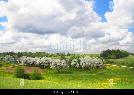 Paysage rural Banque D'Images