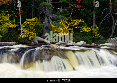 Lower Falls sur la rivière avec la couleur en automne dans la forêt nationale des Montagnes Blanches du New Hampshire Banque D'Images