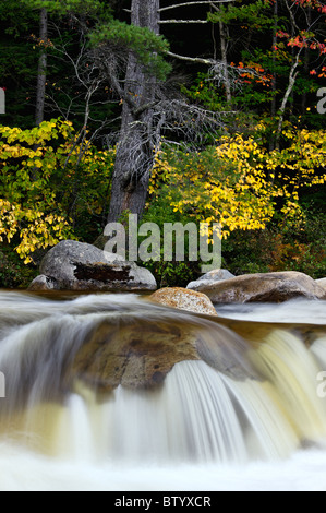 Lower Falls sur la rivière avec la couleur en automne dans la forêt nationale des Montagnes Blanches du New Hampshire Banque D'Images