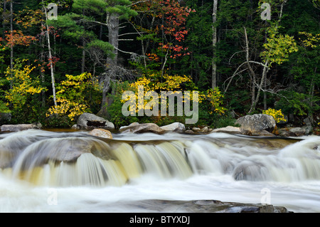 Lower Falls sur la rivière avec la couleur en automne dans la forêt nationale des Montagnes Blanches du New Hampshire Banque D'Images