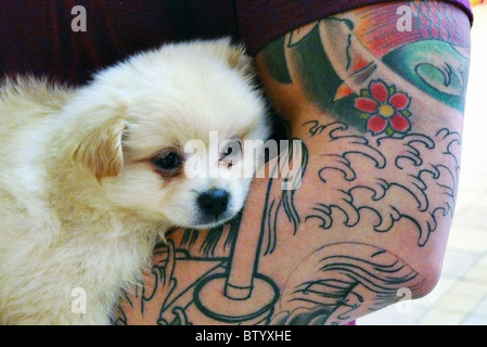 Dur à cuire avec des tatouages tenant un bébé chien. Banque D'Images