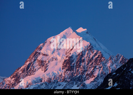 Alpenglow sur Aoraki Mount Cook, Mackenzie Country, South Canterbury, île du Sud, Nouvelle-Zélande Banque D'Images