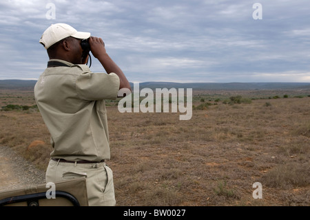 Regardant à travers les jumelles, Guide Kwandwe Game Reserve, Eastern Cape, Afrique du Sud Banque D'Images