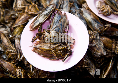 L'alimentation de rue en Thaïlande. Banque D'Images