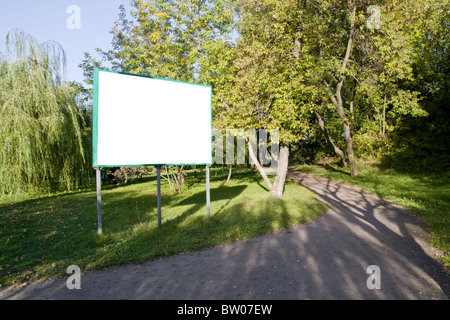 Dans la forêt de panneaux clairs Banque D'Images