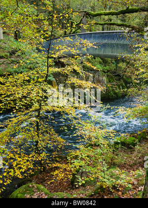 Passerelle Woodburn au-dessus de la rivière Brathay au pont Skelwith dans le parc national Lake District, Cumbria, Angleterre. Banque D'Images