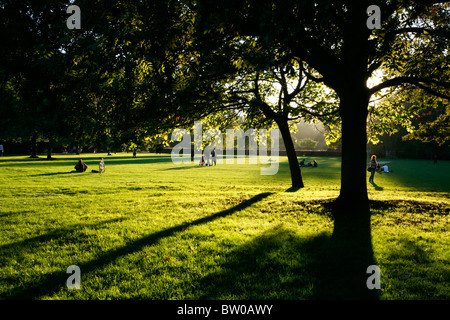 Soleil d'automne dans Battersea Park, Battersea, Londres, UK Banque D'Images