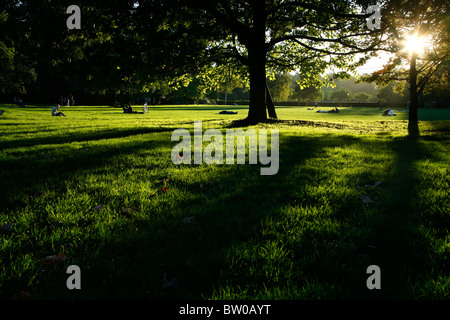 Soleil d'automne dans Battersea Park, Battersea, Londres, UK Banque D'Images