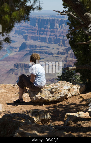 En contemplant le Grand Canyon- Point du désert Banque D'Images