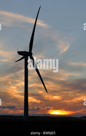 Éolienne sur les fens au coucher du soleil, Cambridgeshire, Angleterre, RU Banque D'Images