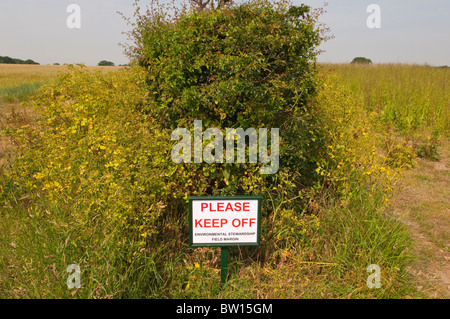 Un panneau Ne pas marcher sur la gérance de marge sur le terrain pour aider les animaux sauvages ( ) à Benacre , Suffolk , Angleterre , Royaume-Uni Banque D'Images