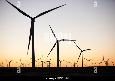 L'aube sur Whitelee wind farm on Eaglesham Moor juste au sud de Glasgow en Ecosse, Royaume-Uni, est le plus grand parc éolien onshore. Banque D'Images