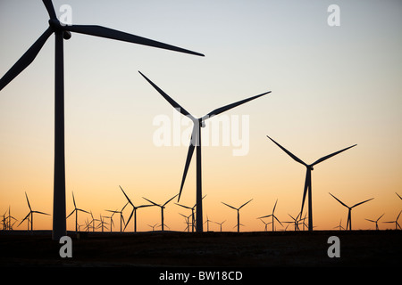 L'aube sur Whitelee wind farm on Eaglesham Moor juste au sud de Glasgow en Ecosse, Royaume-Uni, est le plus grand parc éolien onshore. Banque D'Images