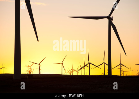 L'aube sur Whitelee wind farm on Eaglesham Moor juste au sud de Glasgow en Ecosse, Royaume-Uni, est le plus grand parc éolien onshore. Banque D'Images