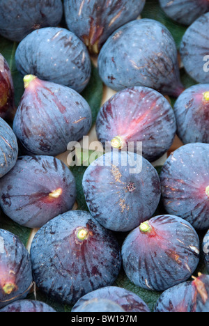 Figues fraîches en vente en Ombrie Italie Banque D'Images