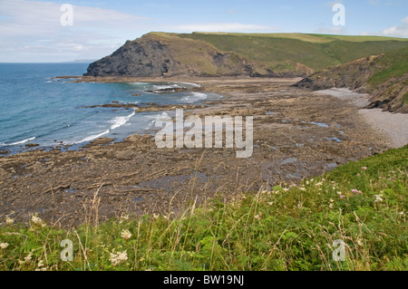 Vue sur Crackington Haven vers Pencannow Point sur la côte nord des Cornouailles Banque D'Images