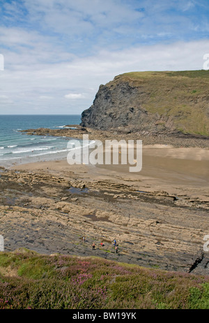 Vue sur Crackington Haven vers Pencannow Point sur la côte nord des Cornouailles Banque D'Images