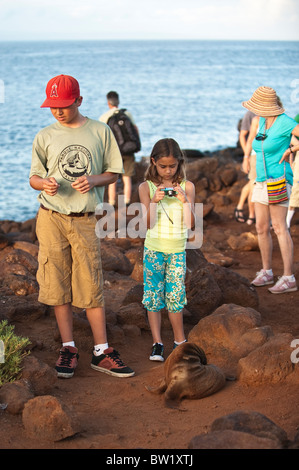 Enfants et bébé lion de mer (Zalophus wollebaeki), Île de Seymour Nord, Îles Galapagos, Équateur. Banque D'Images