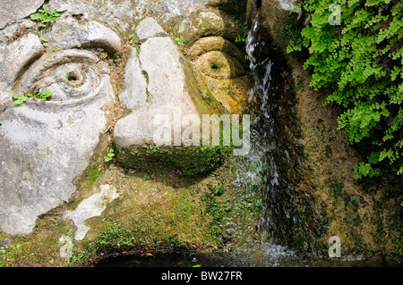 Détail Fontaine Fontaine, ovale, Villa D'Este, Tivoli Banque D'Images