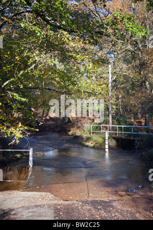 Ford près de Brook, New Forest, Hampshire, Angleterre Banque D'Images