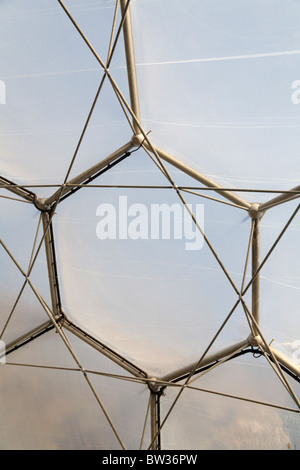 Intérieur du biome méditerranéen Projet Eden Cornwall UK Close up of structure dôme Banque D'Images