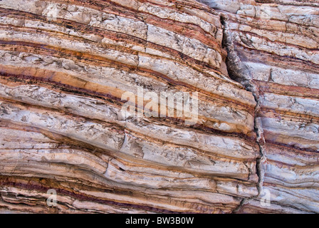 La formation de schiste et calcaire de Boquillas couches tordues dans Ernst Canyon, Désert de Chihuahuan à Big Bend National Park, Texas, États-Unis Banque D'Images