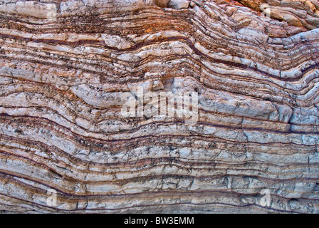 La formation de schiste et calcaire de Boquillas couches tordues dans Ernst Canyon, Désert de Chihuahuan à Big Bend National Park, Texas, États-Unis Banque D'Images