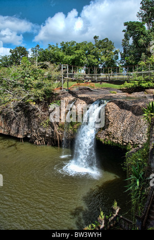 La végétation du Parc de Paronella dans le Queensland, Australie Banque D'Images