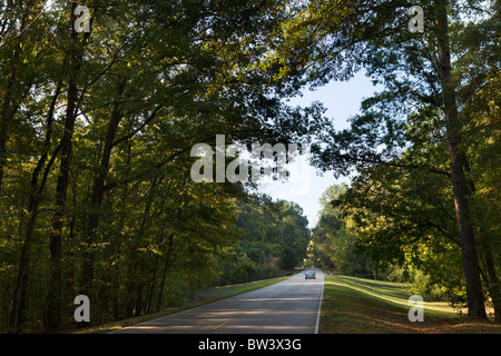Le Natchez Trace Parkway entre Lorman et Natchez, Mississippi, USA Banque D'Images