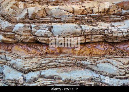 La formation de schiste et calcaire de Boquillas couches tordues dans Ernst Canyon, Désert de Chihuahuan à Big Bend National Park, Texas, États-Unis Banque D'Images