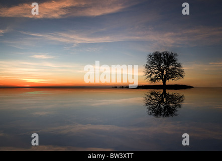 Un lone Oak tree se trouve sur une île, tandis que sa silhouette se reflète dans l'eau avec un beau coucher de soleil Banque D'Images
