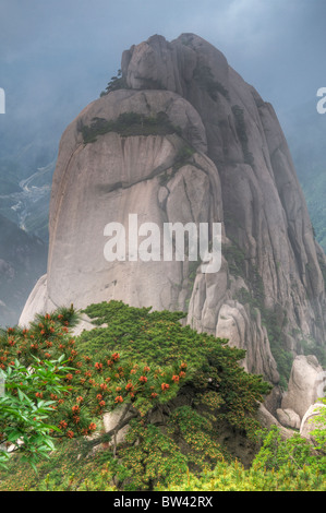 Paysage de montagne, Huangshan, Chine Banque D'Images