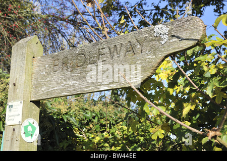 Panneau en bois Bridleway doigt (post) montrant sentier public avec le fond d'arbres et ciel bleu près de Newton Valence, Hampshire, England, UK Banque D'Images