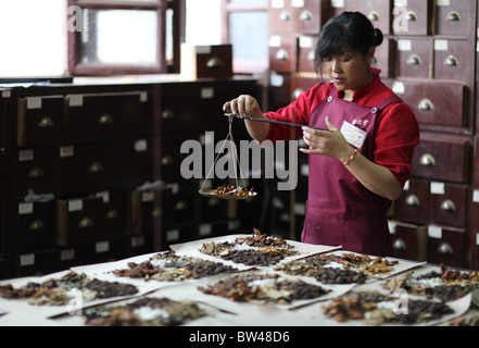 Les presciptions en préparation à l'Fulintang la médecine de fines herbes Chinoise Traditionnelle Store à Kunming, en Chine. Banque D'Images