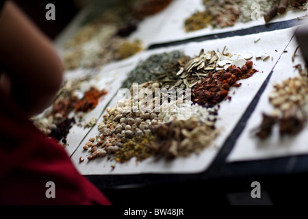 Les presciptions en préparation à l'Fulintang la médecine de fines herbes Chinoise Traditionnelle Store à Kunming, en Chine. Banque D'Images