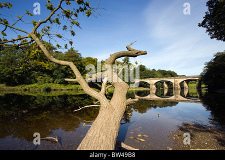Les ponts sur l'escroc O'Lune près de Lancaster Banque D'Images