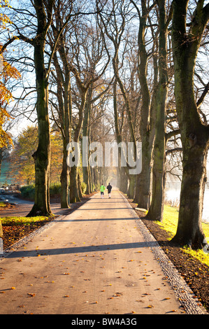 Allée d'arbres au moyen de Avenham Park et Miller à Preston Banque D'Images