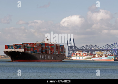 Yang Ming container ship, port de Felixstowe, Suffolk, UK. Banque D'Images