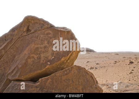 Images d'animaux de rayures sur les roches dans un endroit sec wadi lit dans le désert de l'Égypte, Banque D'Images