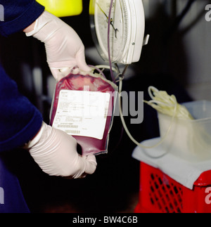 Sac de sang de donneurs nurse holding Banque D'Images