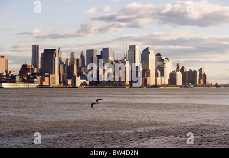 Une mouette dans l'avant-plan vole au-dessus de la rivière Hudson. Le centre-ville de New York est sur l'autre rive de la rivière. Banque D'Images