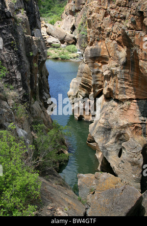 Bourke's Luck potholes, Blyde Canyon, Mpumalanga, Afrique du Sud. Banque D'Images