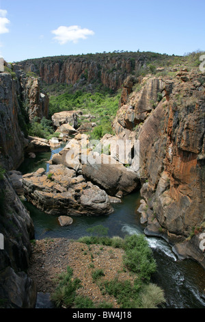 Bourke's Luck potholes, Blyde Canyon, Mpumalanga, Afrique du Sud. Banque D'Images