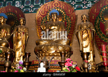 Un Bouddha en or, le Temple Shaolin, berceau du Kung Fu, Song Shan, près de Zhengzhou, province de Henan, Chine, Dengfeng Banque D'Images